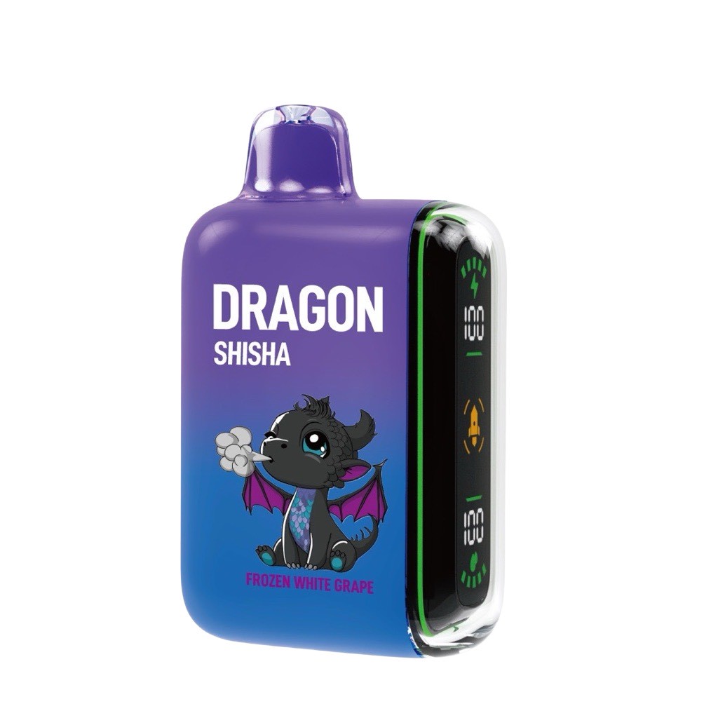 DRAGON SHISHA デバイス