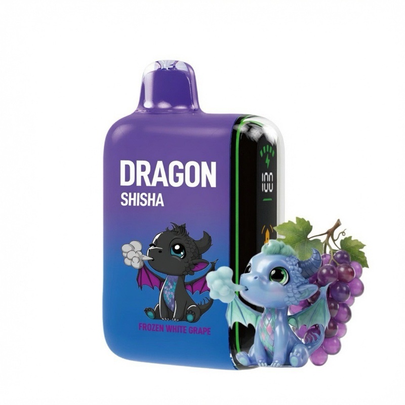 DRAGON SHISHA 30000
